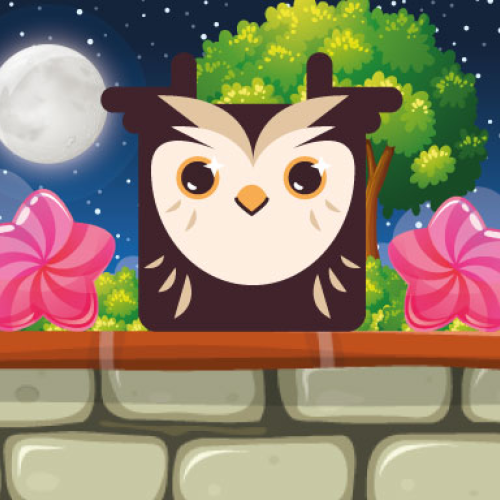 Owl Block