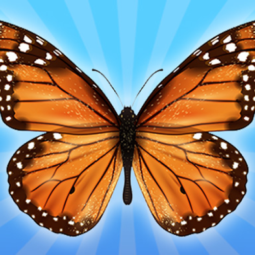 MergeButerfly: 2048!