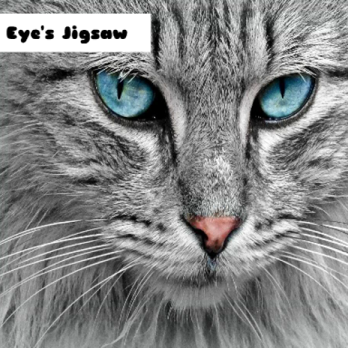 Cat Eye's Jigsaw