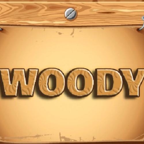Woody   Wood Block Puzzle