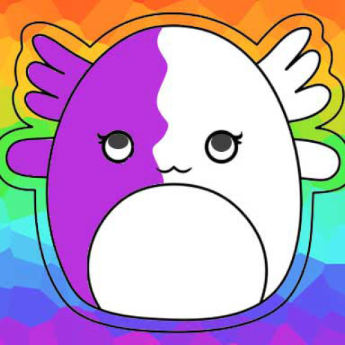 Squishmallow Coloring Book