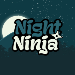Night Ninja