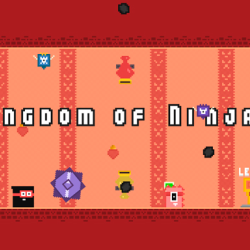 Kingdom of Ninja 5