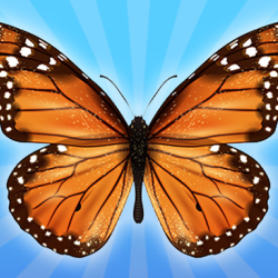 MergeButerfly: 2048!