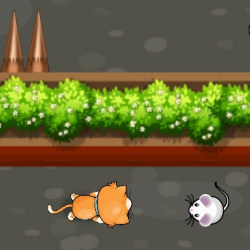 Cat Trap Labyrinth Escape