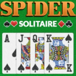 Spider Solitaire Pro
