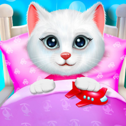 Kitty Bedtime Activities