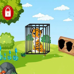 Rescue the Tiger Cub