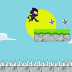 Ninja Run Adventures