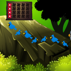 Reticent Forest Escape