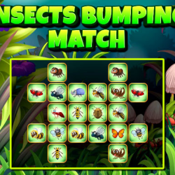 Insects Bumping Match