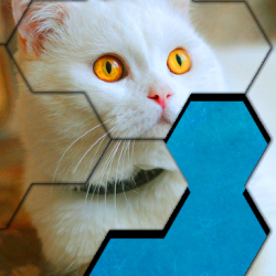 Blocks Hexa Jigsaw Puzzle™