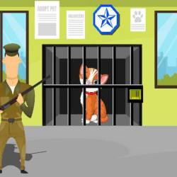 Animals Rescue