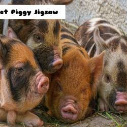 Piglet Piggy Jigsaw