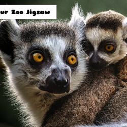 Lemur Zoo Jigsaw