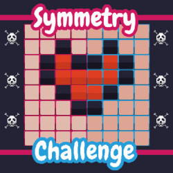 Symmetry Challenge