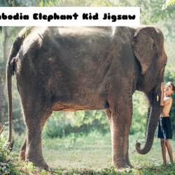 Cambodia Elephant Kid Jigsaw