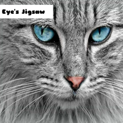 Cat Eye's Jigsaw