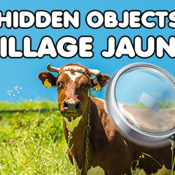 Hidden Objects Village Jaunt