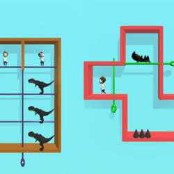 Pin Puzzles