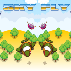 Sky Fly