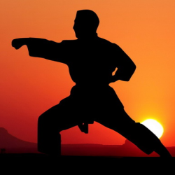 Karate Sunset Warriors