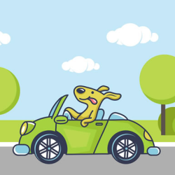 Animal Happy Drive Coloring