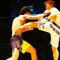 UFC Fighting Match Jigsaw