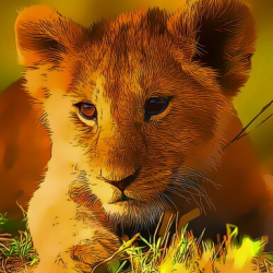 Wild Baby Animals Jigsaw