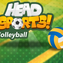 Head Sports Volleyball