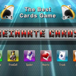 Reinarte Cards