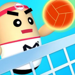 3D Amazing VolleyBall