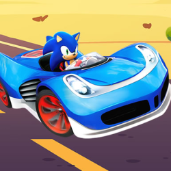 Sonic Racing Jigsaw