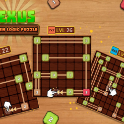 NEXUS : wooden logic puzzle