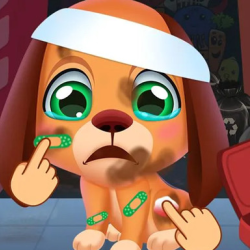 Stray Puppy Pet Care