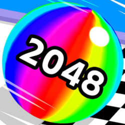 2048 Run 3D