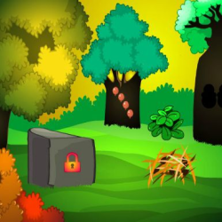 Rescue the Cage Bird