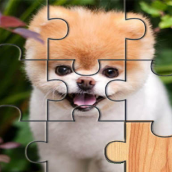Cute Dogs Jigsaw Puzlle