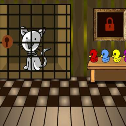 G2L White Cat Rescue