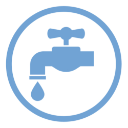 Guess Shape Of Water