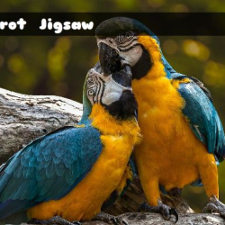 Parrot Jigsaw