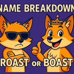 Name Breakdown Roast Or Boast