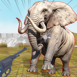 Zoo Anomaly Simulation