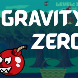 Gravity Zero